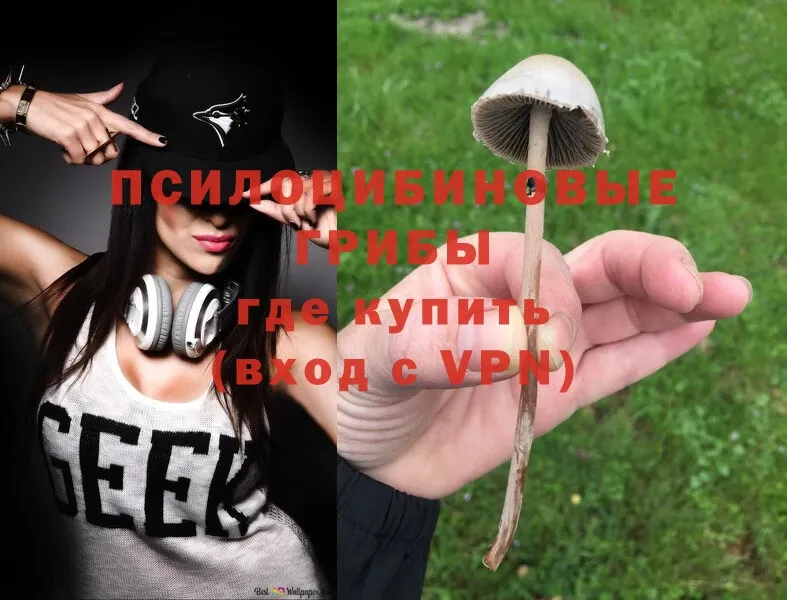 OMG рабочий сайт  Мезень  Галлюциногенные грибы Magic Shrooms  где продают  